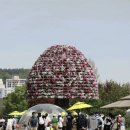 함평엑스포공원 이미지