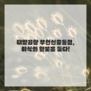 인생곱창 이미지