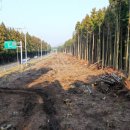 노을숲제주 이미지