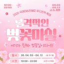 국제대학교 | 평택 송탄 벚꽃 명소ㅣ국제대학교 은혜로 벚꽃 축제 야시장 다녀온 후기