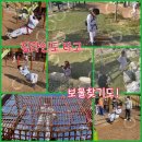 신주례 인성 태권도 이미지