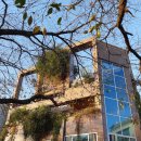 오산2길 이미지