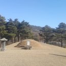 천년장