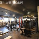 웰니스핏 이미지