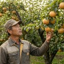 박광수농장 이미지