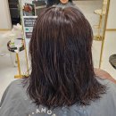 멍멍이 미용실 | 김해삼계동미용실 데스틴헤어 클리닉 후기