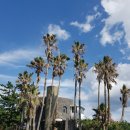 소라쉼터 이미지