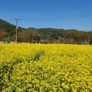 11500-19-38-101 | [1탄] 강원도 여행 후기 (4/17-19)