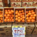판교동577-1 이미지