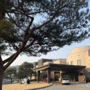 골프존카운티 천안 | 골프존카운티 천안 필드후기⛳️