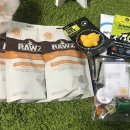 클라이네독 이미지