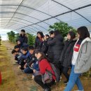 정림농장 이미지