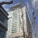 시청역 롯데골드로즈 이미지