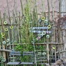 중휴림솔궁 이미지