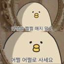 유은빌딩 | 공덕필라테스) 일상41-어쩔 어쩔로 사세요