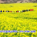 지리산나들이장터(상인회) 이미지