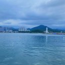 학리초장 이미지