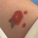 컴포트성형외과의원 이미지