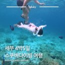 아시아툴링 | 필리핀 세부 스쿠버다이빙 여행 4박5일 일정 추천