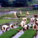 농가월령가 이미지