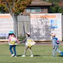 순천만 어싱길 맨발 걷기대회 이미지