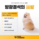 양구동물병원 이미지