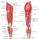 삼동축산 | 2025-41w (2025.10.06 ~ 2025.10.12)