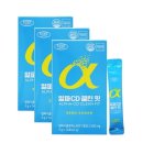 에버그린 이미지