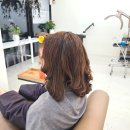 헤어라움 이미지