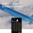 스카이플래티늄항공 | 카드 & MILEAGE PLATINUM(스카이패스) 후기｜6개월 동안 13,734마일 적립! 대한항공 마일리지 카드 추천