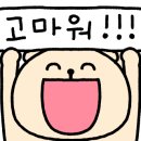 김미현임대