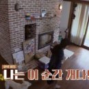 해애루민박 이미지