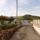 돈지리시장 이미지