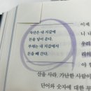 금화세차장 | 대낮부터 돈ㄴㅇ 하는 곳