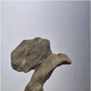 참 행정사 이미지