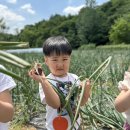 [승마&농장체험] 농장체험, 승마 이미지