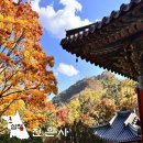 천은사 | 삼척 천은사 강원도 단풍 명소 절 추천