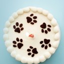 프리미엄 펫베이커리&펫푸드카페 멈머맘마 | 펫쿠킹: 반려견을 위한 취미부터 창업까지 한 번에