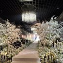 동안구청 공중화장실(1~5층) | [W.01-1 웨딩홀계약] 더컨벤션 영등포 웨딩홀투어 후기 - 뷔페, 홀, 주차, 대기실 등 (계약O)