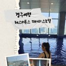 더테라스호텔 | 경주여행 숙소 - 체스터톤스 더 테라스 호텔 숙박후기