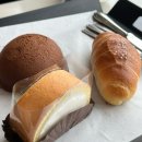 미개척지2