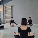 닐라요가 | [ 요가 지도자 과정] 어떤 과정을 들을까? (경산요가 닐라요가)