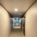 대덕대로234번길 | 대전 둔산동 숙소 추천: 더호텔아리아 조식 후기, 내돈내산 객실 리뷰