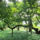 성밖숲 관광안내소 이미지