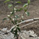 해찬농장 이미지