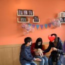 고양시 동물보호센터 이미지