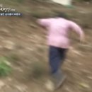 제일안전 이미지