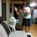 스피어실내테니스