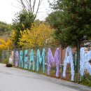 캠프그리브스유스호스텔 이미지