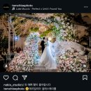 클로이플라워 | W3. 본식스냅📸 |인생컷을 남길 내 선택, ‘탐클로이’ 본식스냅 계약 후기💍 (+짝꿍 할인 코드 완료)